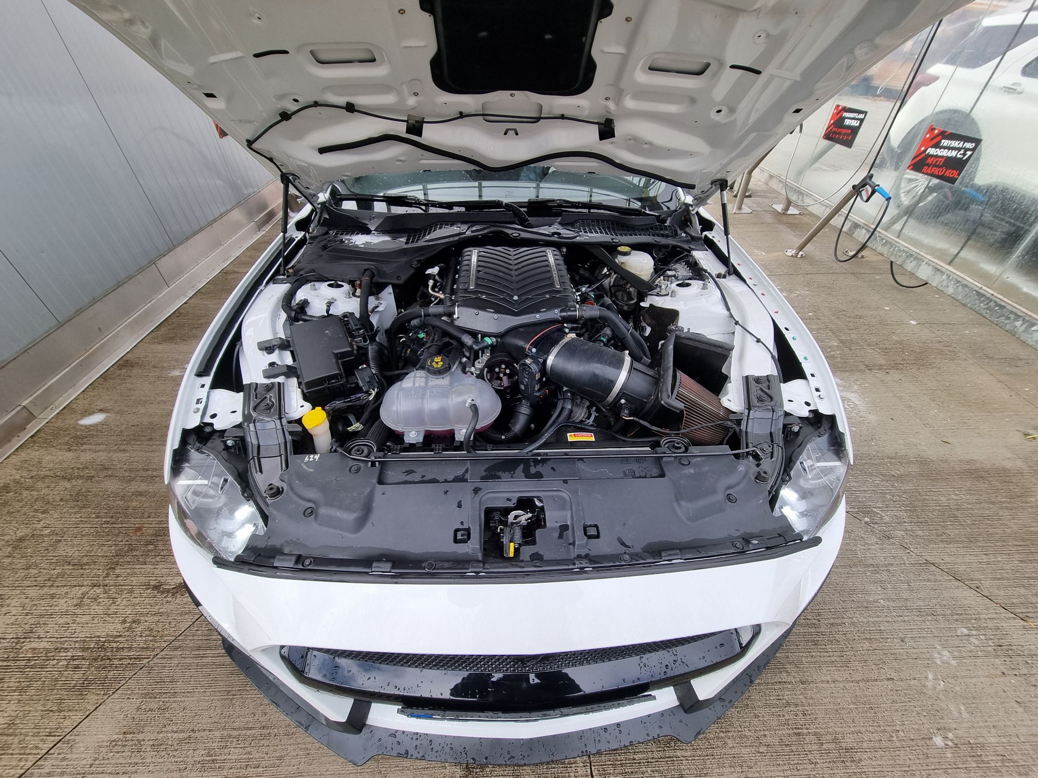 Ford Mustang, 800 HP !! Kompresor - fotka 6