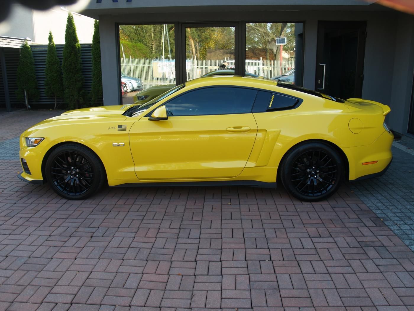 Ford Mustang, 5.0 V8 ROUSH-paket - fotka 4