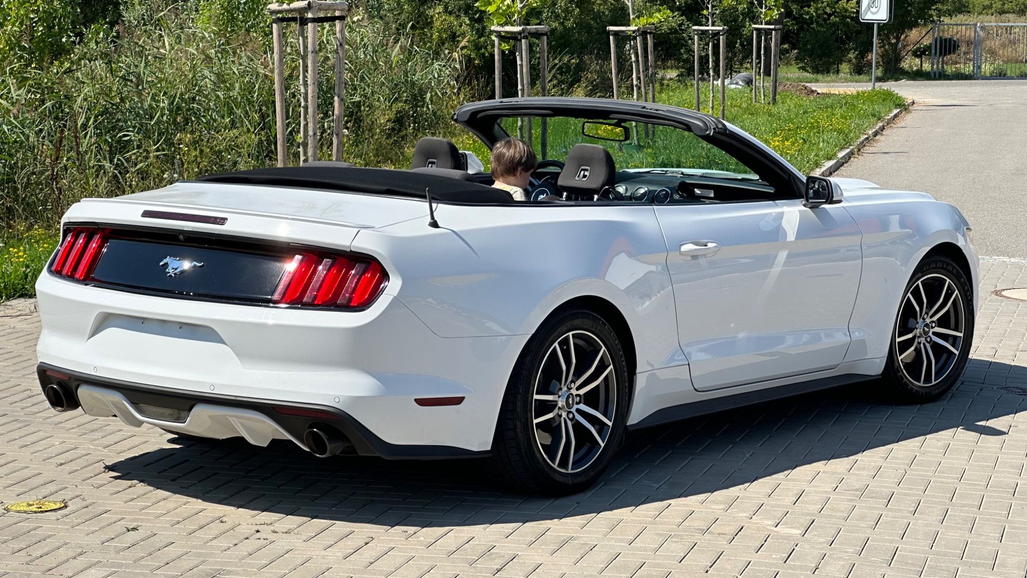 Ford Mustang, 3.7L Convertible - fotka 4