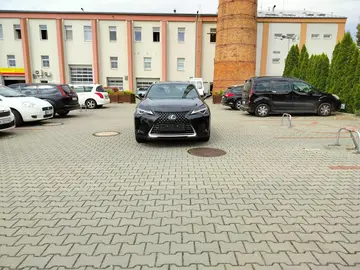 Lexus UX 250h, 2.0 BUSINESS edition