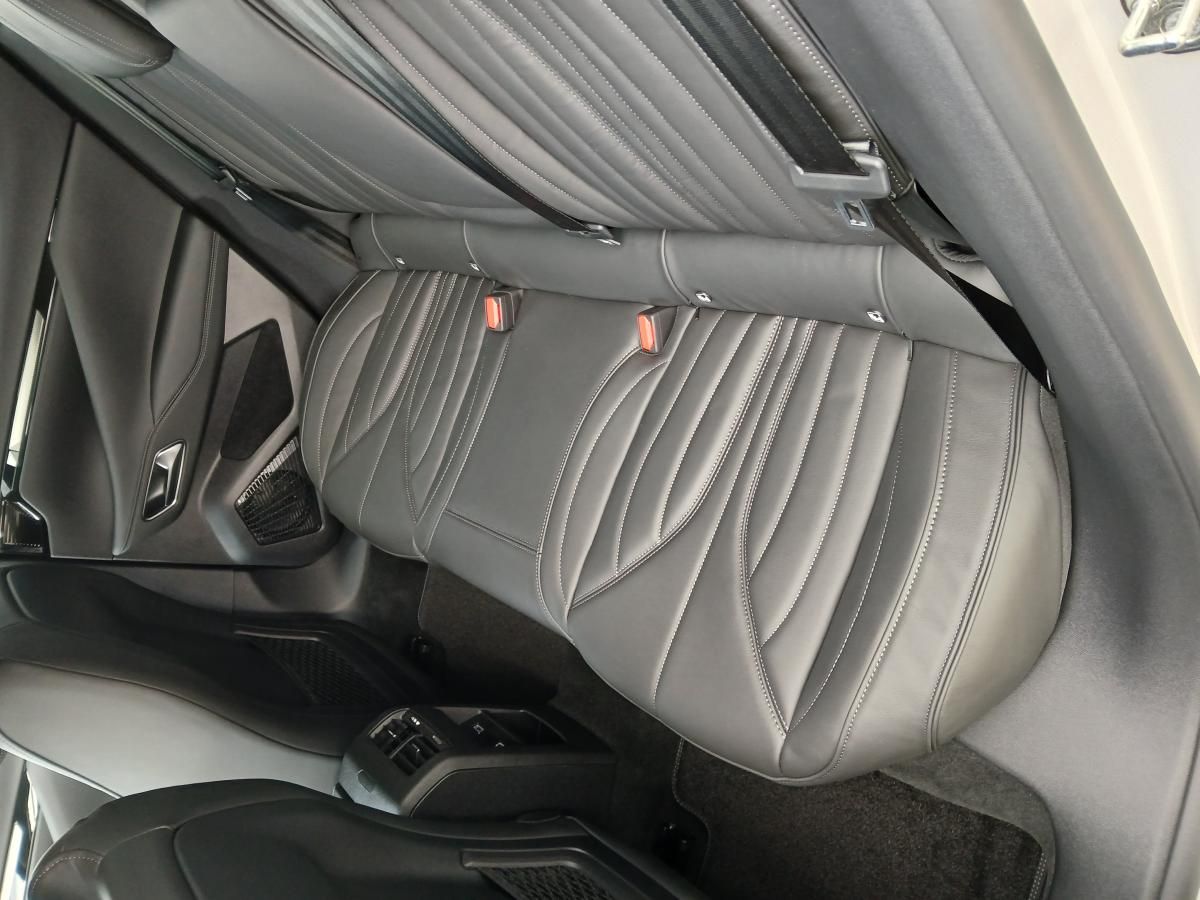 DS 4, CROSS RIVOLI E-TENSE 225 - fotka 6
