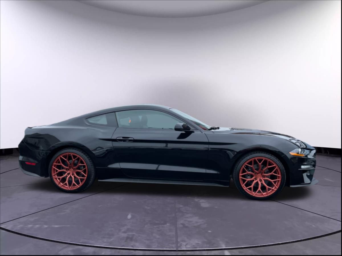 Ford Mustang, 2,3 EcoBoost/AUTOMAT - fotka 4