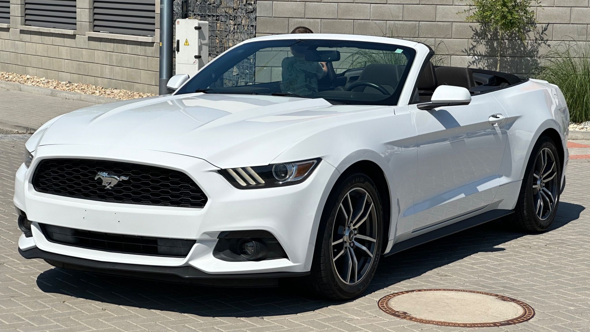 Ford Mustang, 3.7L Convertible - fotka 2