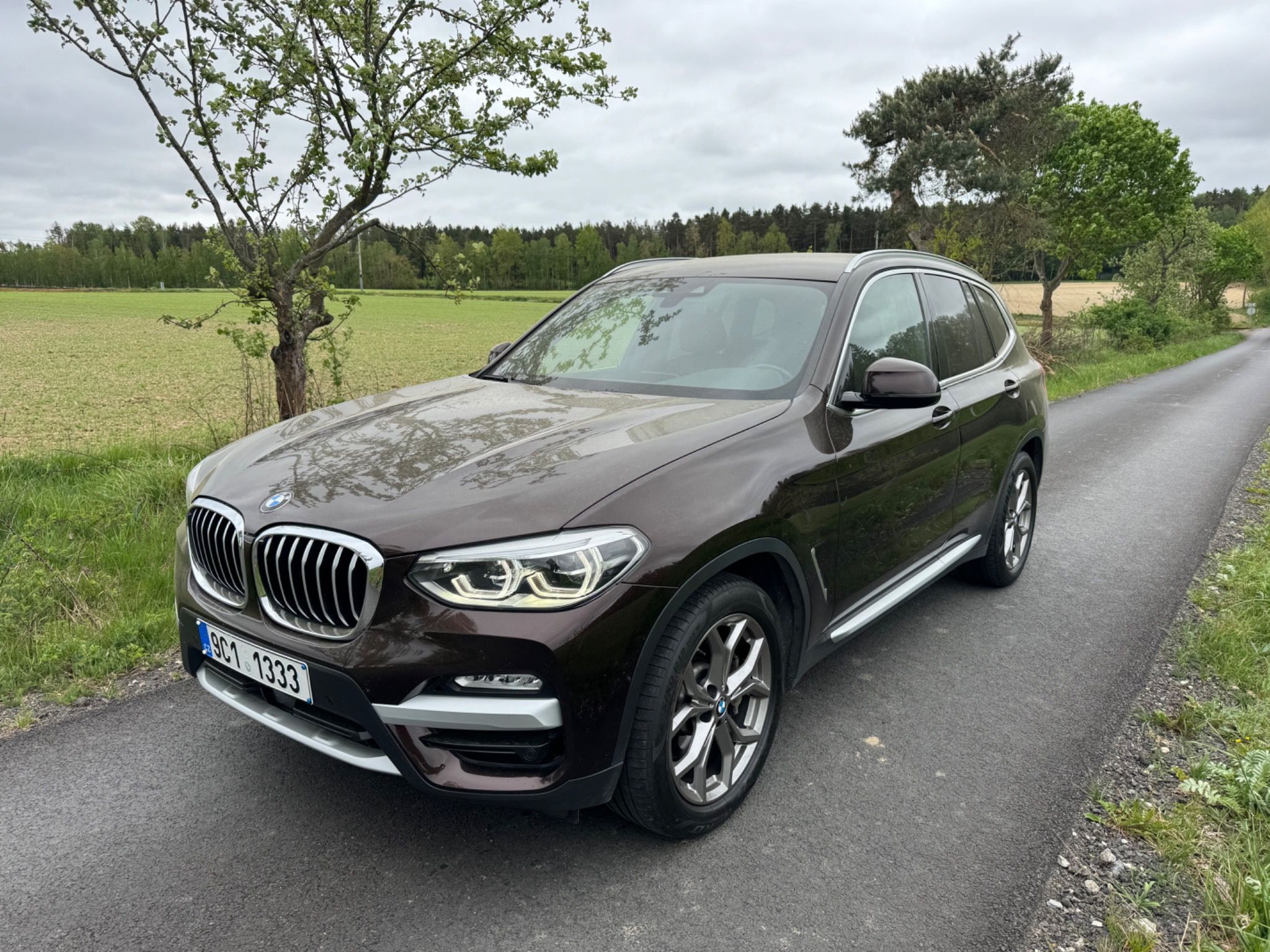 BMW X3, xDrive 30d 195kW xLine DPH