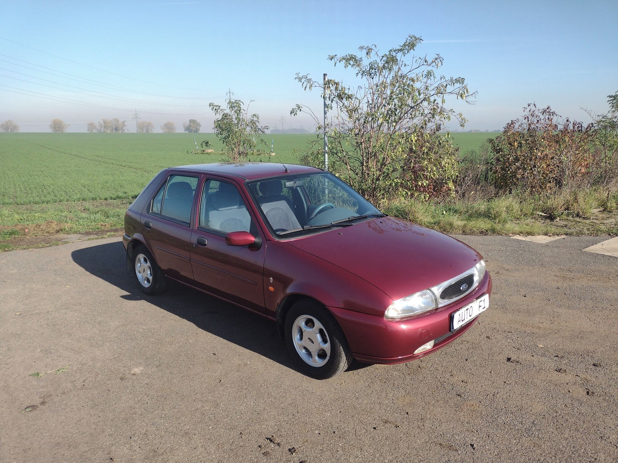 Ford Fiesta, 1,25 16V 55kW GHIA  KLIMA - fotka 2