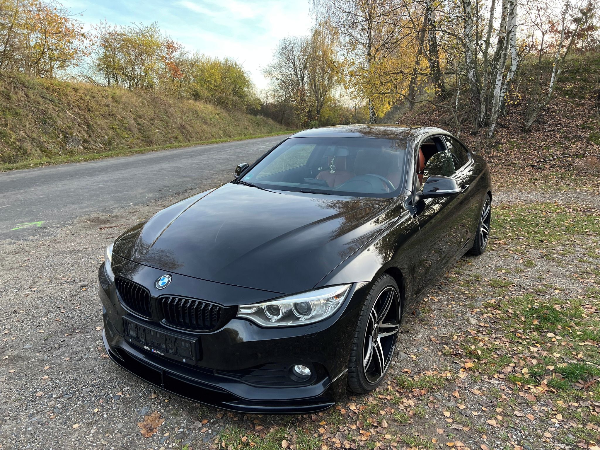 BMW Řada 4, 430D 190Kw Individual - fotka 3