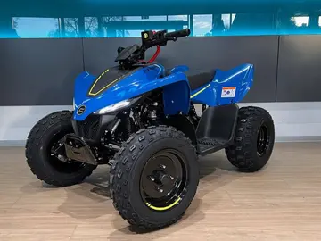 CFMOTO GLADIATOR, CFmoto Gladiator X110