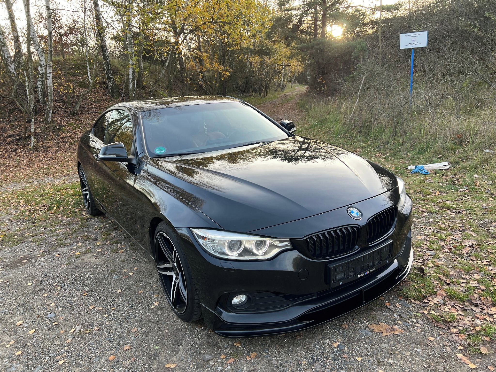 BMW Řada 4, 430D 190Kw Individual - fotka 4