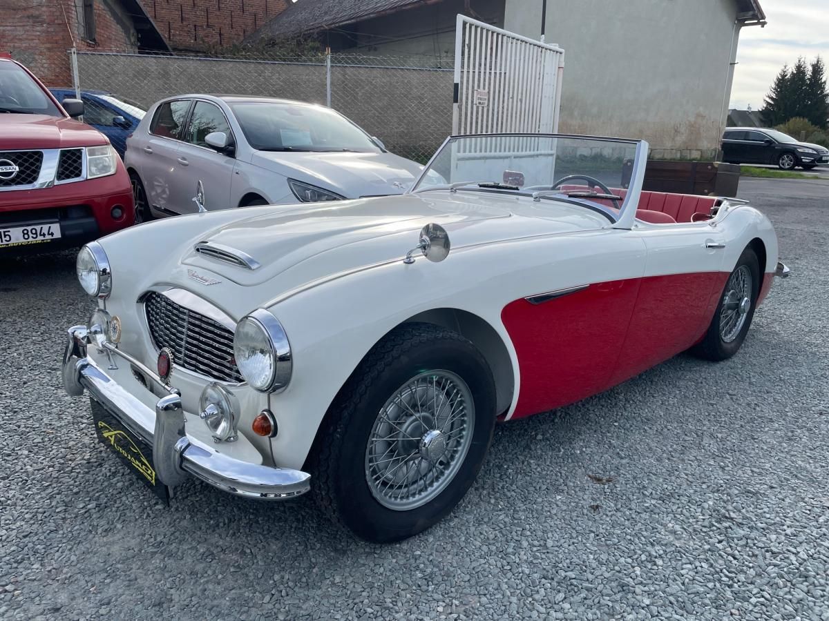 Austin, Healey 100/6 - fotka 2