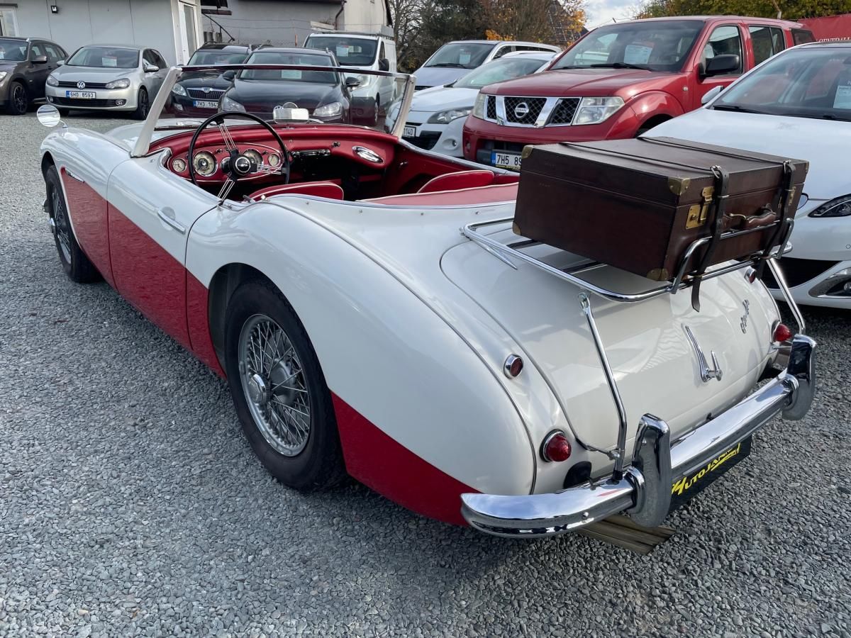 Austin, Healey 100/6 - fotka 4