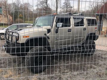 6,0 MONSTER 226cm LPG