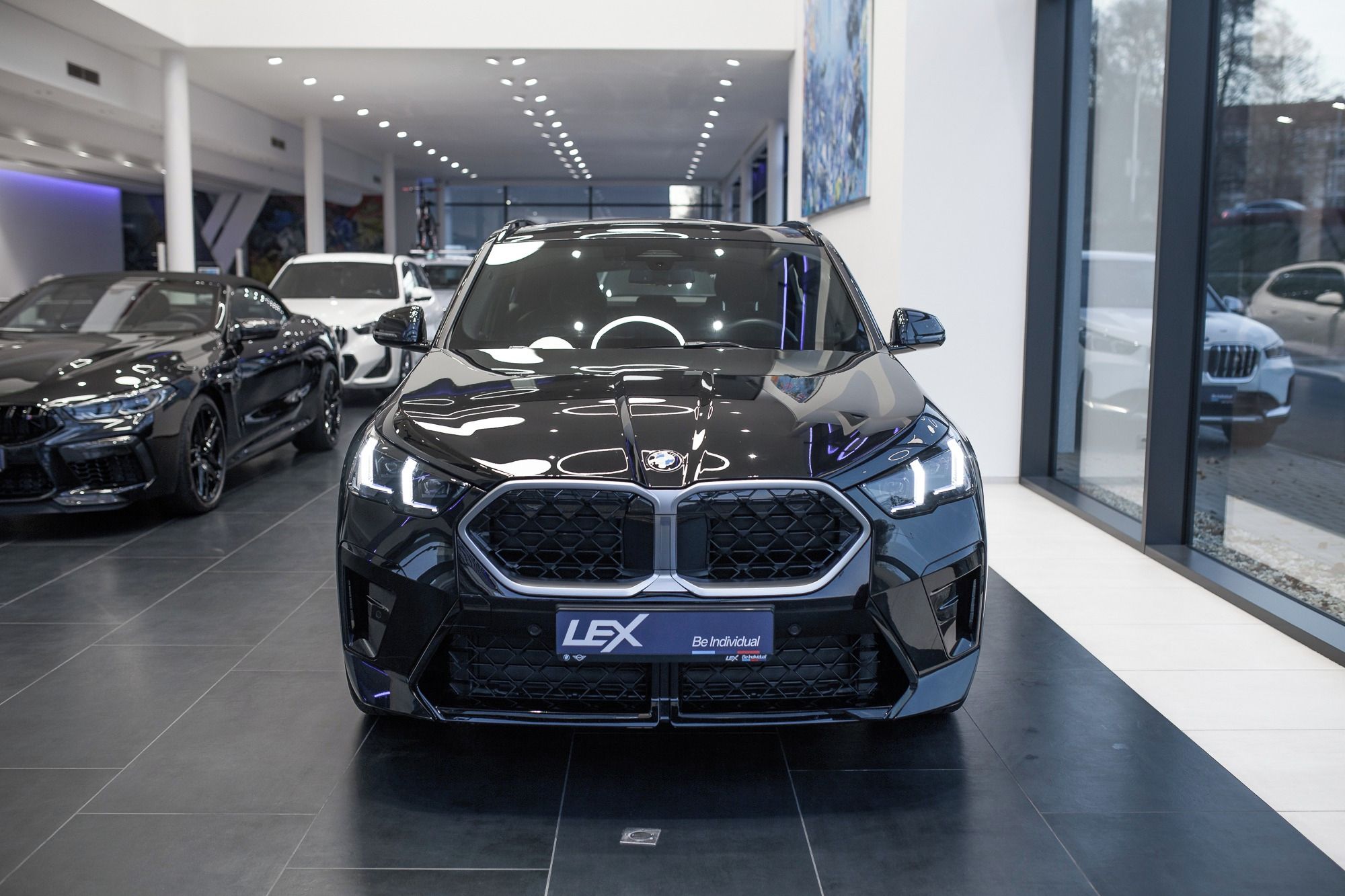 BMW X2, sDrive18d - fotka 2