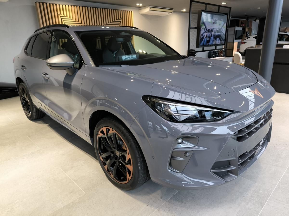 Cupra Terramar, VZ 2.0 TSi 265k DSG 4WD