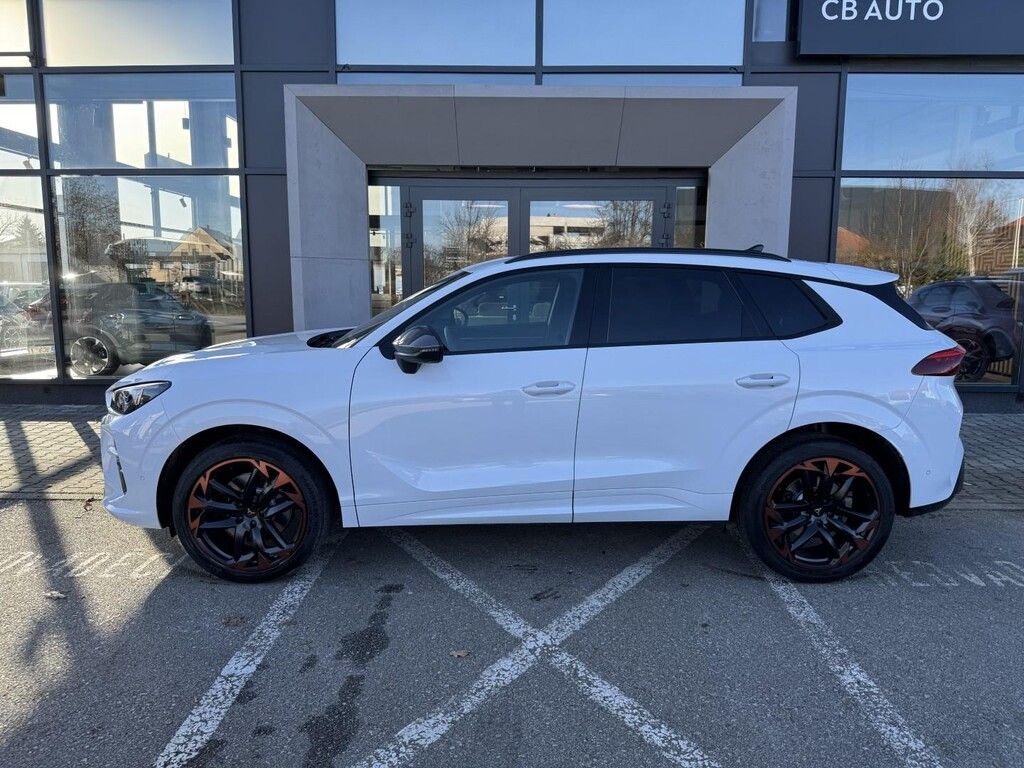 Cupra Terramar, 2.0TSI 195kW 4WD DSG, VZ - fotka 4