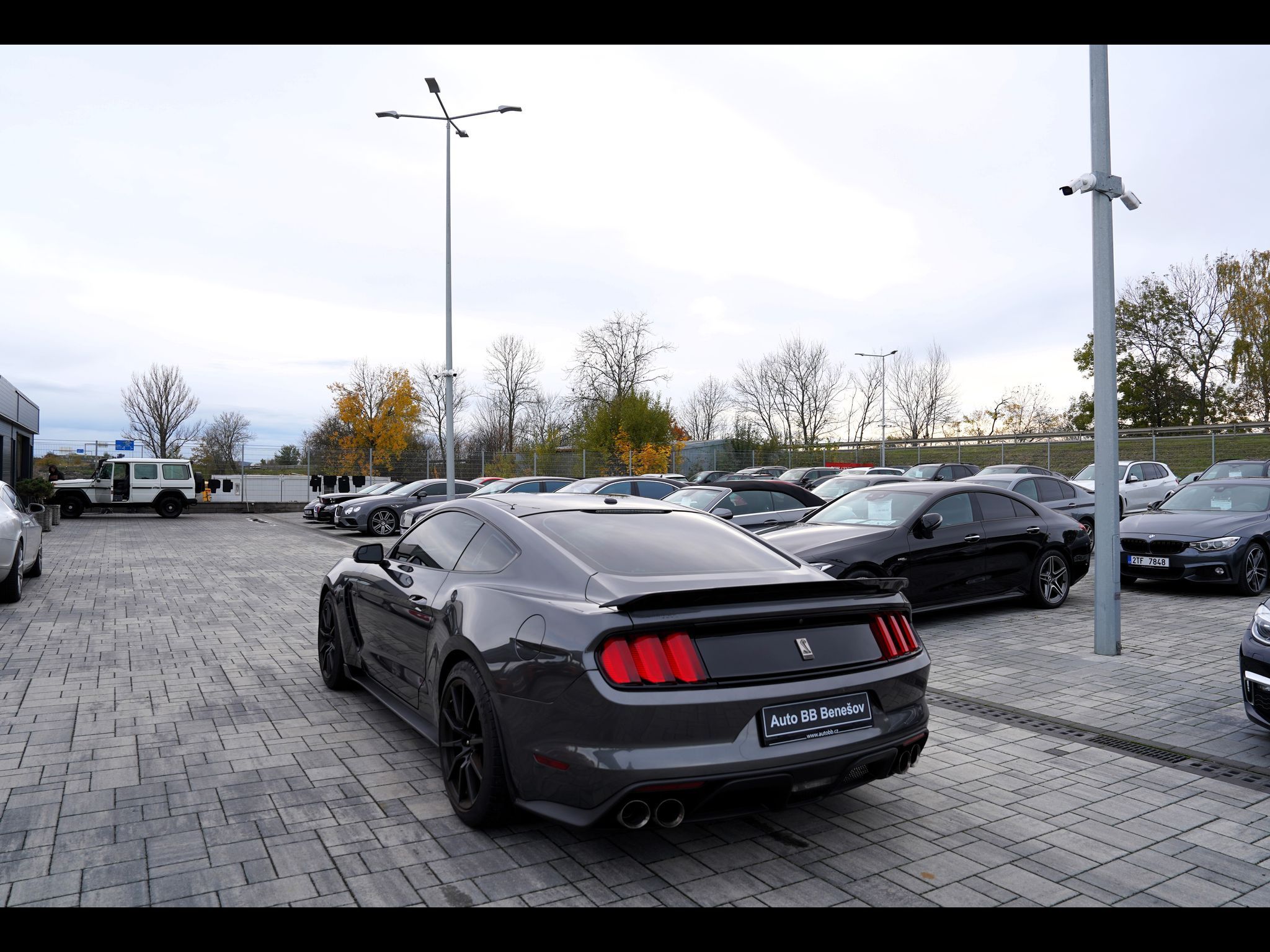 Ford Mustang, Shelby GT350 5.2 Recaro,533 PS - fotka 4