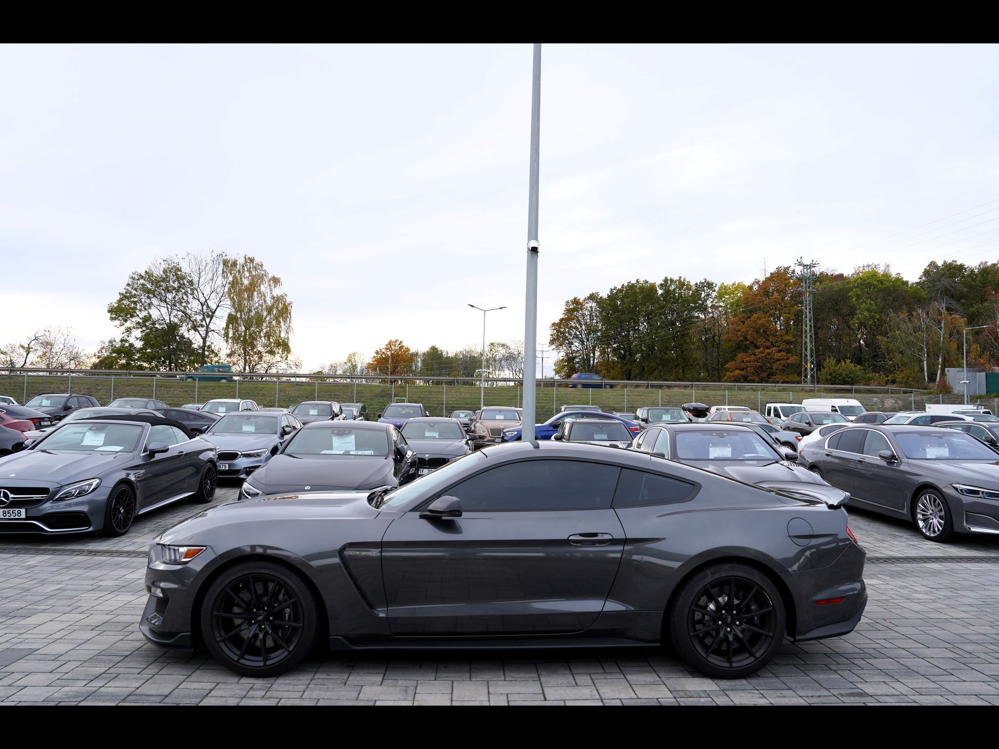 Ford Mustang, Shelby GT350 5.2 Recaro,533 PS - fotka 3