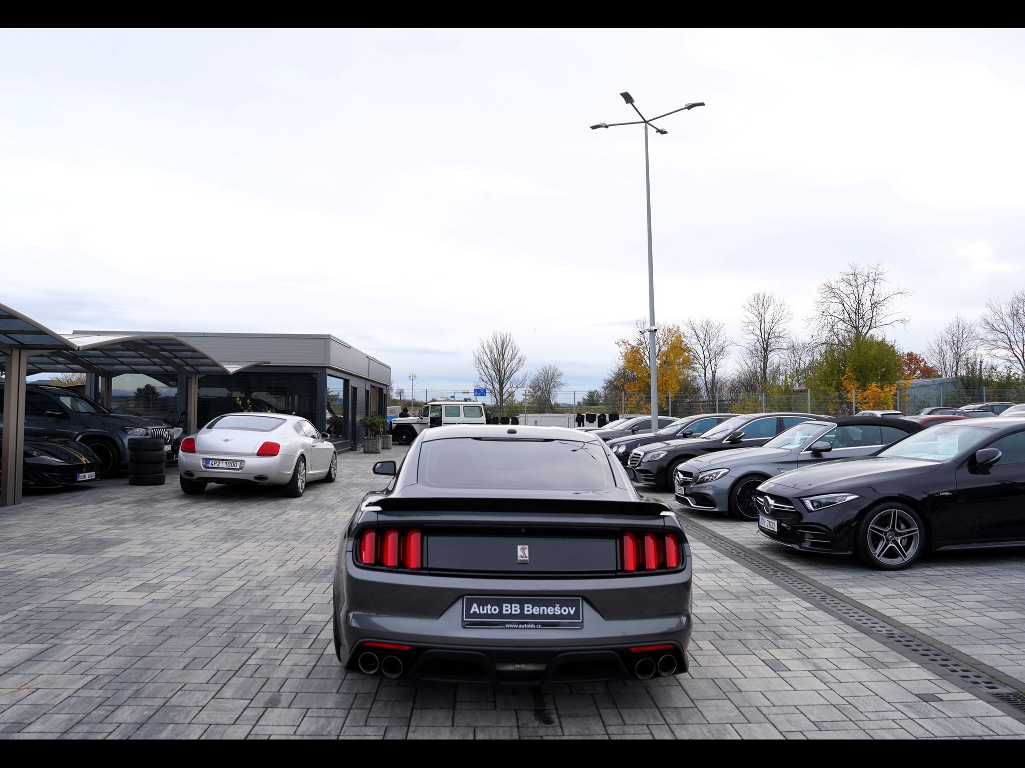 Ford Mustang, Shelby GT350 5.2 Recaro,533 PS - fotka 5