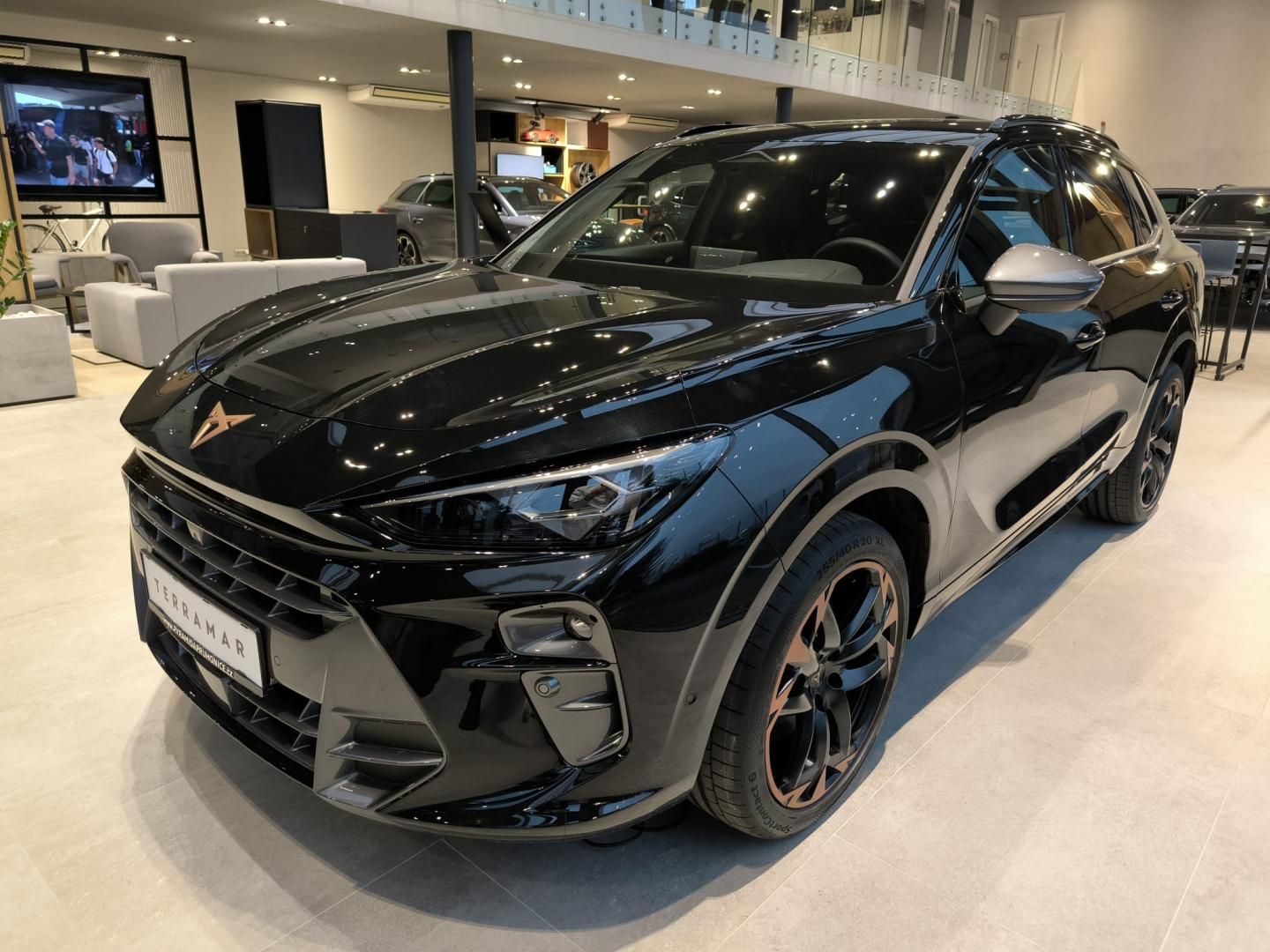 Cupra Terramar, VZ 2.0 TSi 265k DSG 4WD
