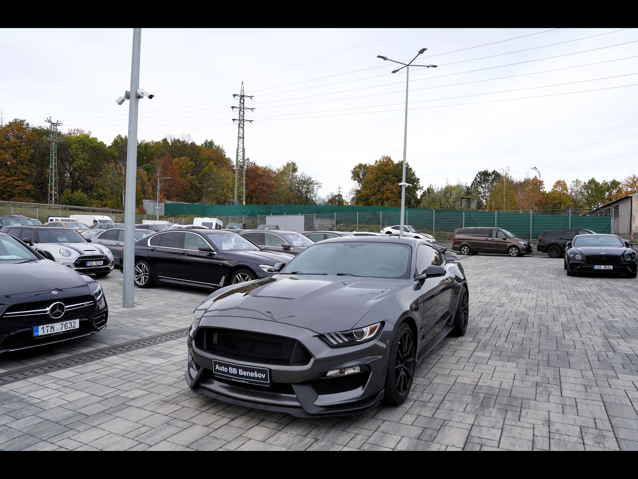 Ford Mustang, Shelby GT350 5.2 Recaro,533 PS - fotka 2