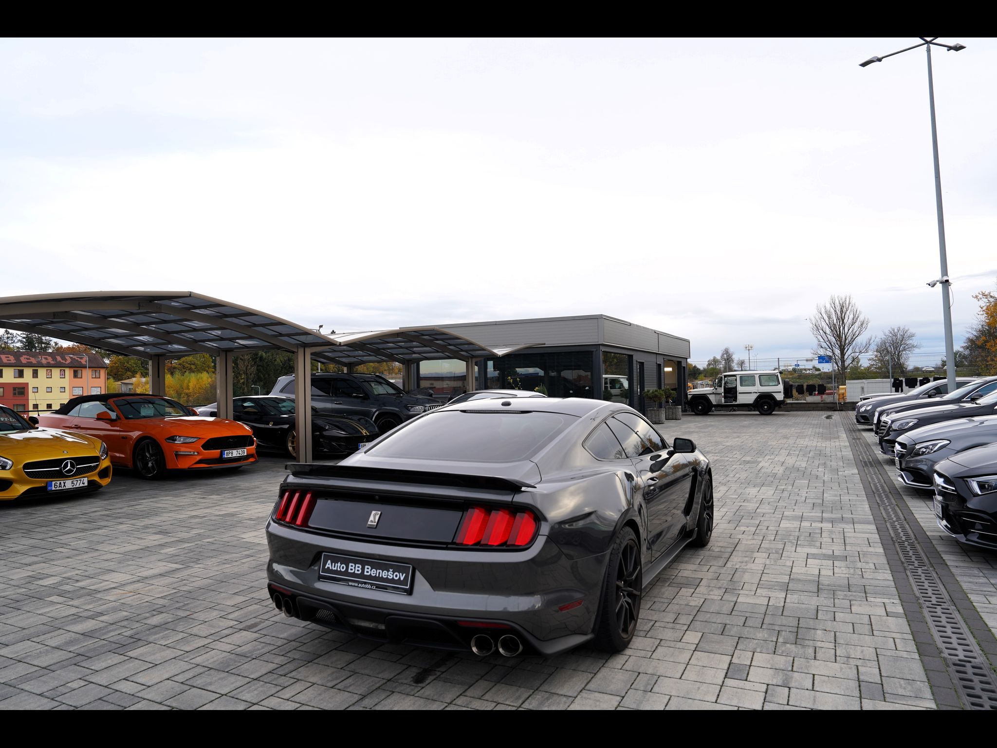 Ford Mustang, Shelby GT350 5.2 Recaro,533 PS - fotka 6