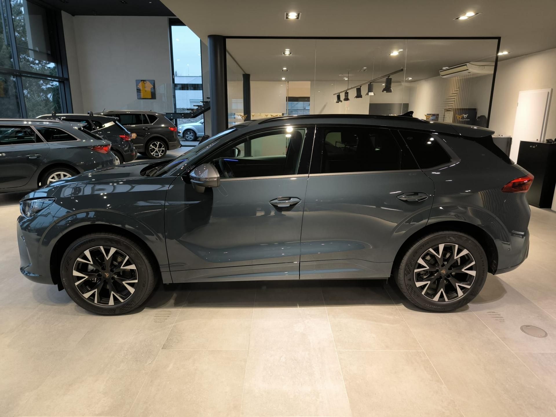 Cupra Terramar, 2.0 TSI 204k DSG 4WD - fotka 3