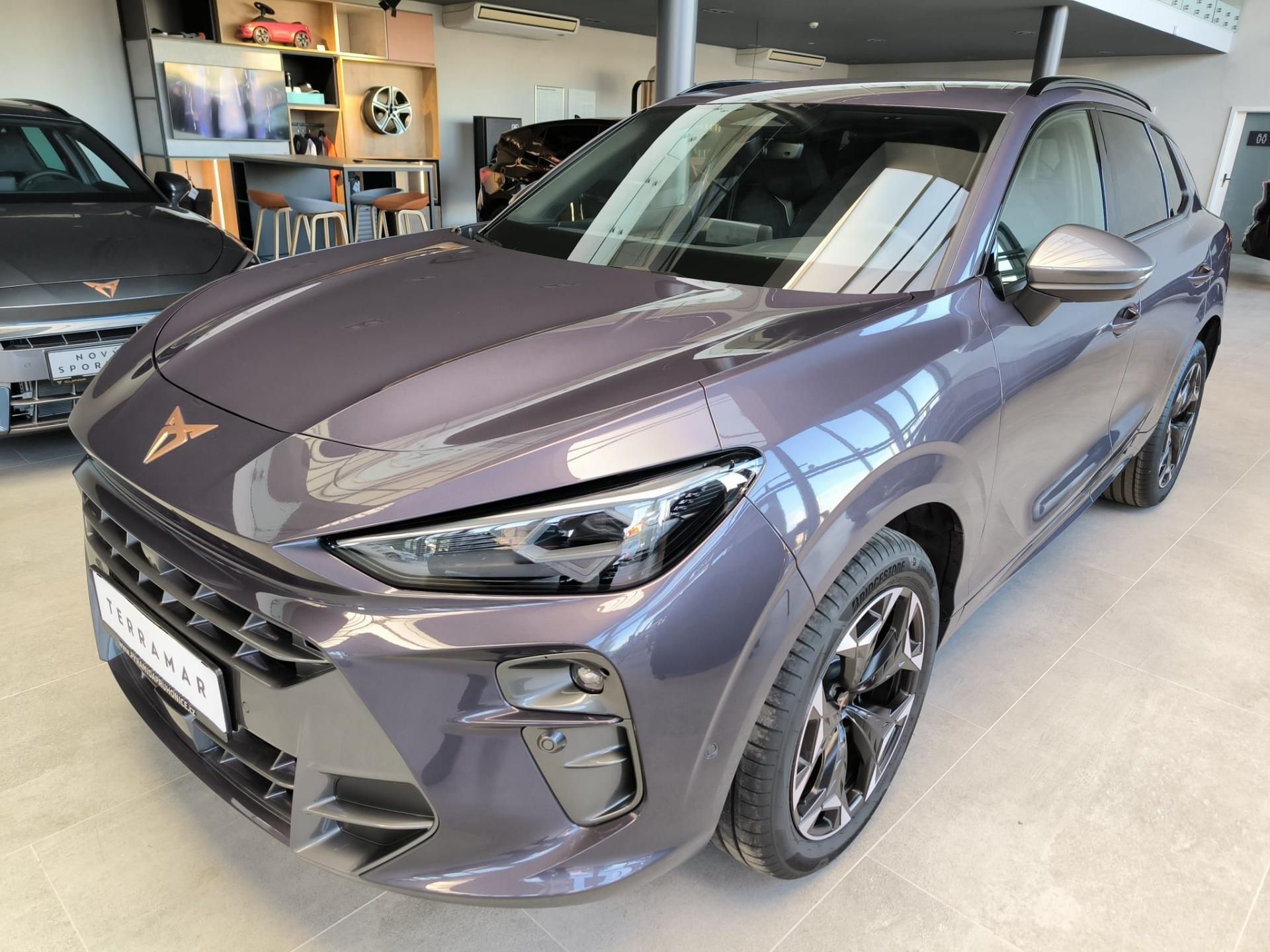 Cupra Terramar, VZ 2.0 TSi 265k DSG 4WD