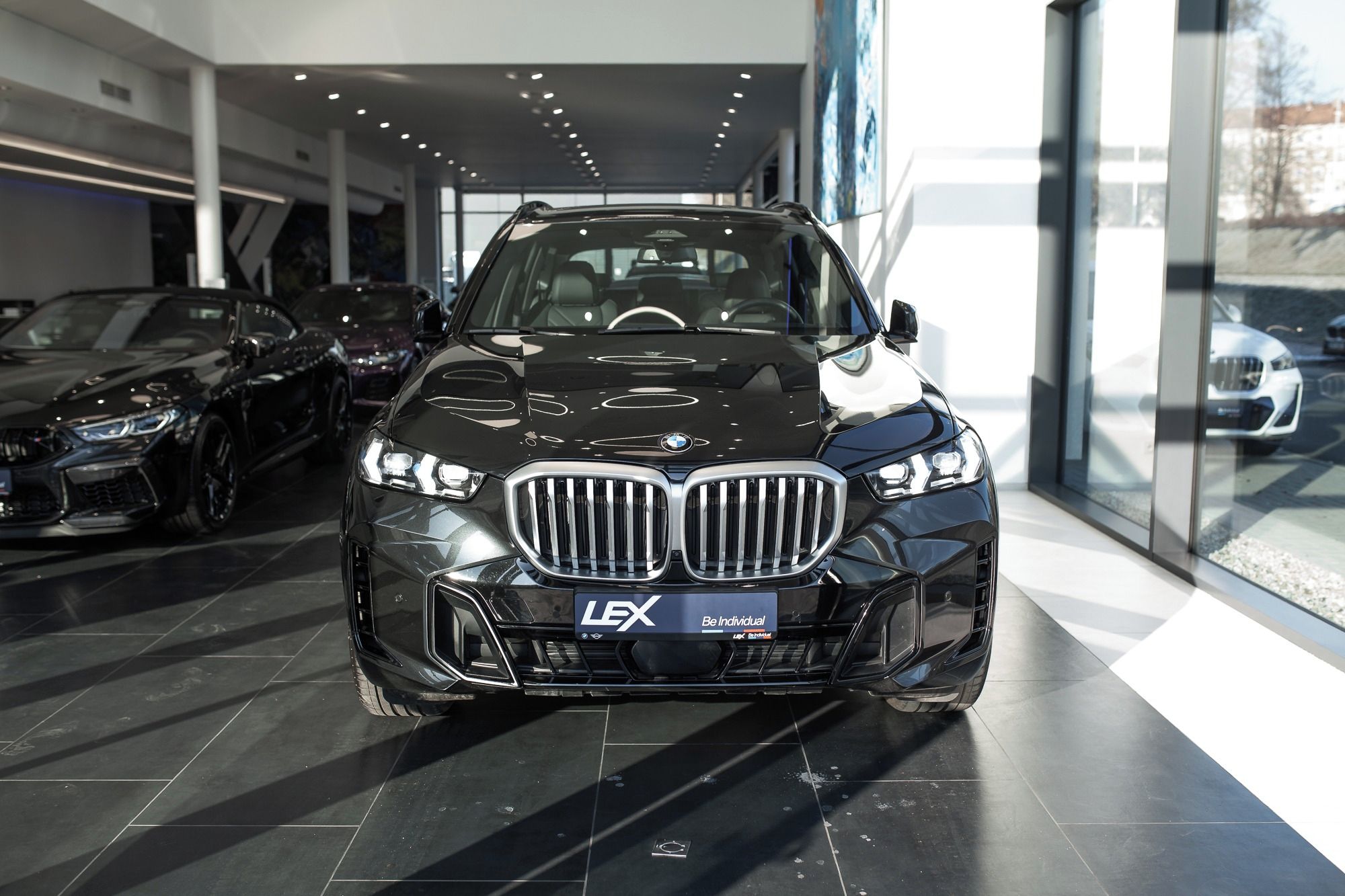 BMW X5, xDrive30d - fotka 2