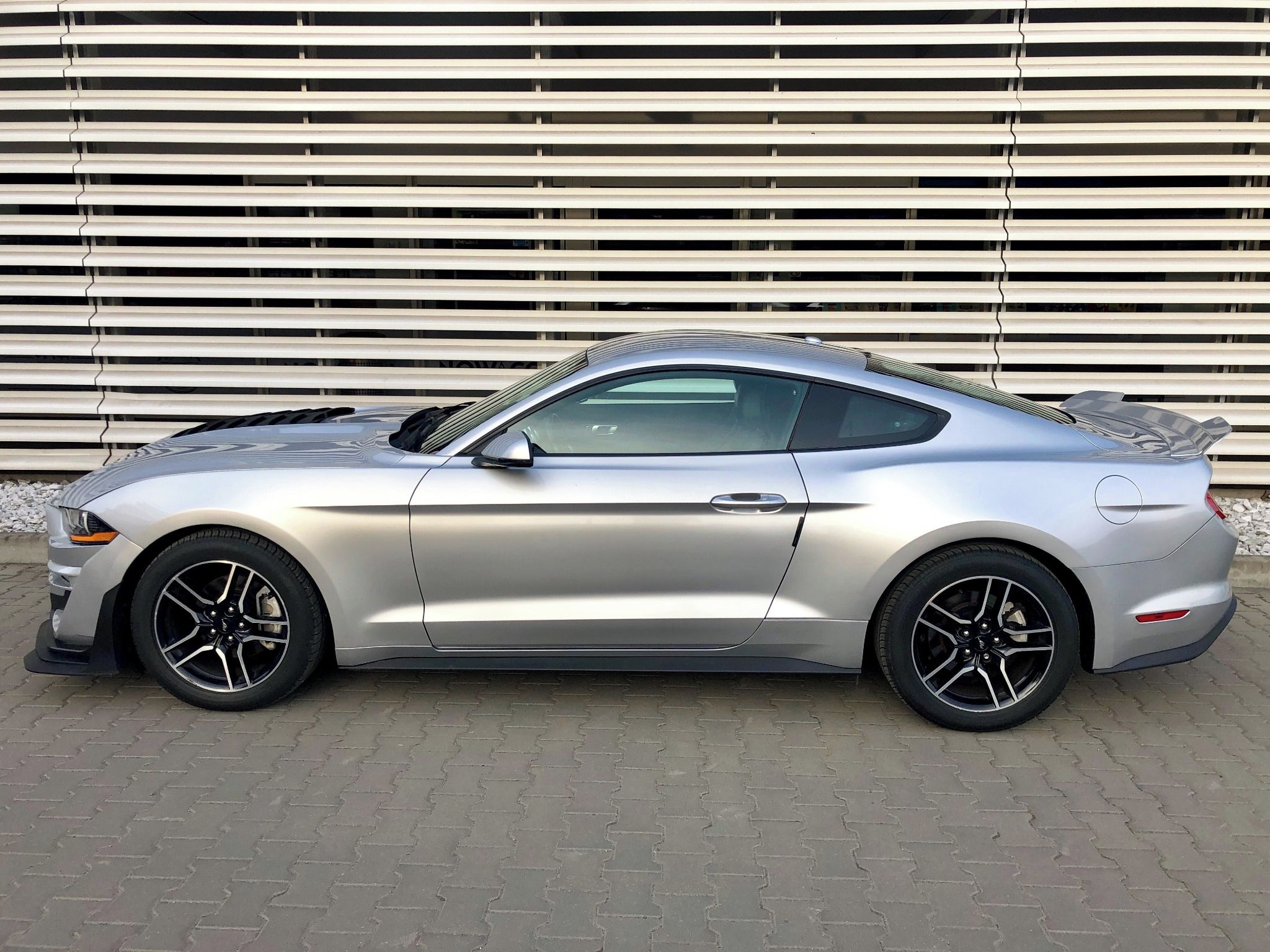 Ford Mustang, Shelby paket 2.3i,  Automat - fotka 2