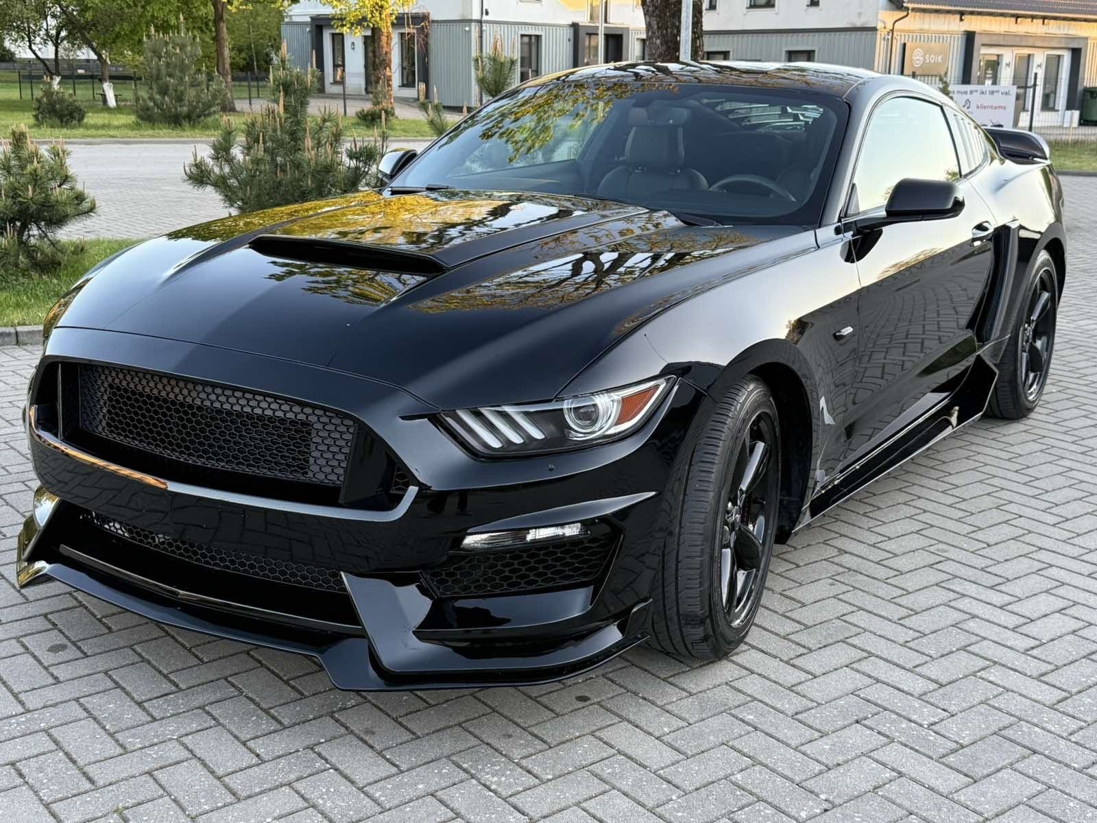 Ford Mustang, 3.7L Automatic Shelby Optika - fotka 6