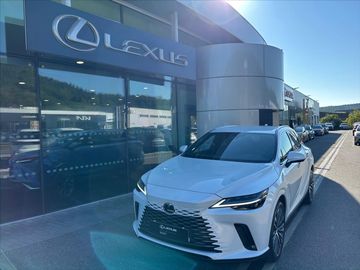 2,5   Executive Plus