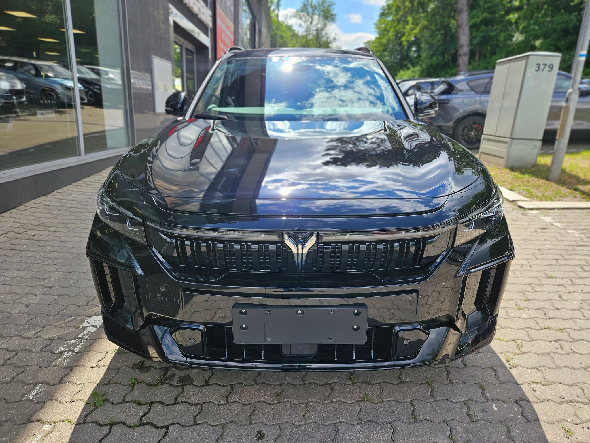 Voyah, FREE REV 318 AWD Hybrid - fotka 3