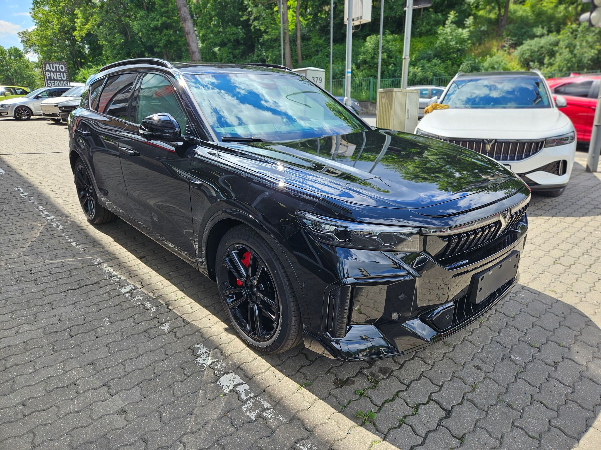 Voyah, FREE REV 318 AWD Hybrid - fotka 4