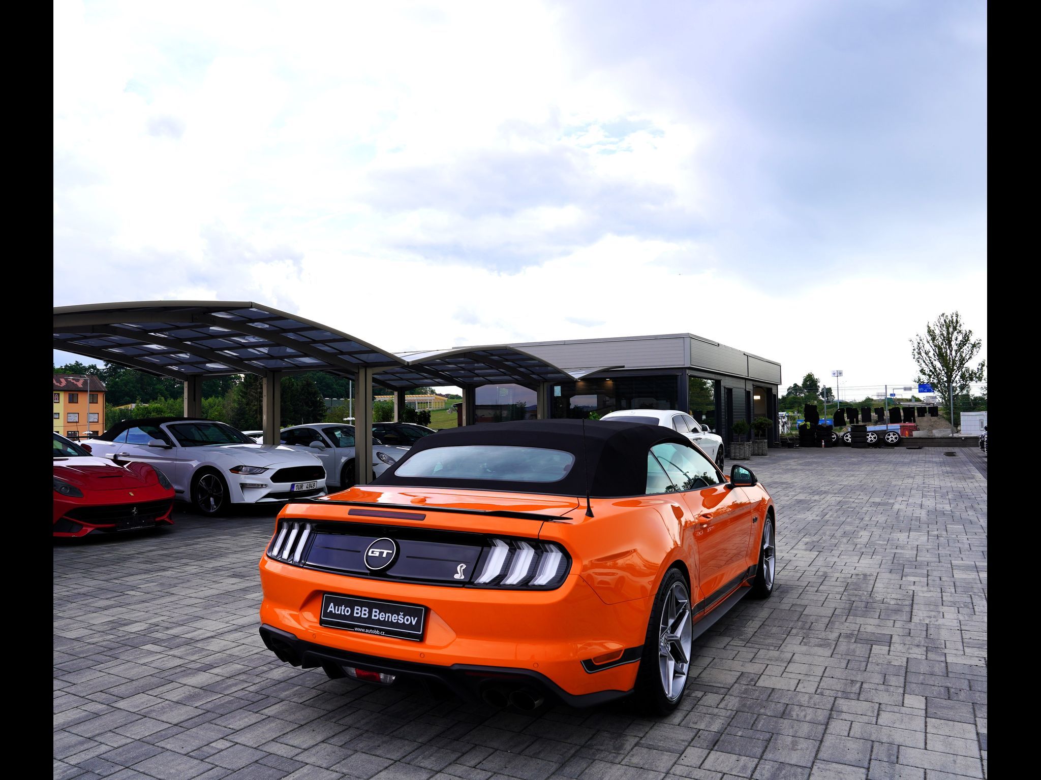 Ford Mustang, Convertible 5.0 Ti-VCT V8 GT - fotka 6