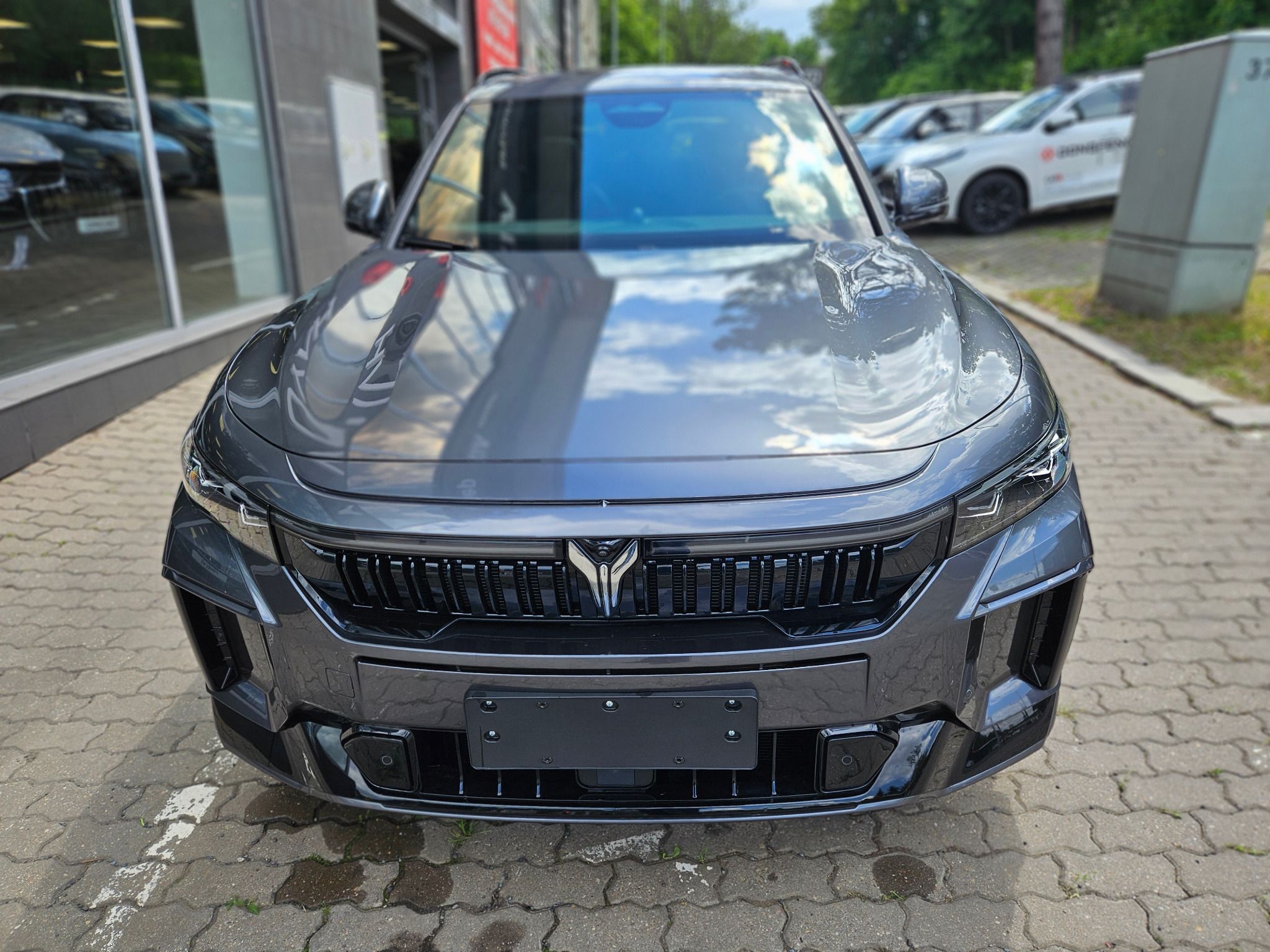 Dongfeng Voyah Free, FREE REV 318 AWD Hybrid - fotka 3