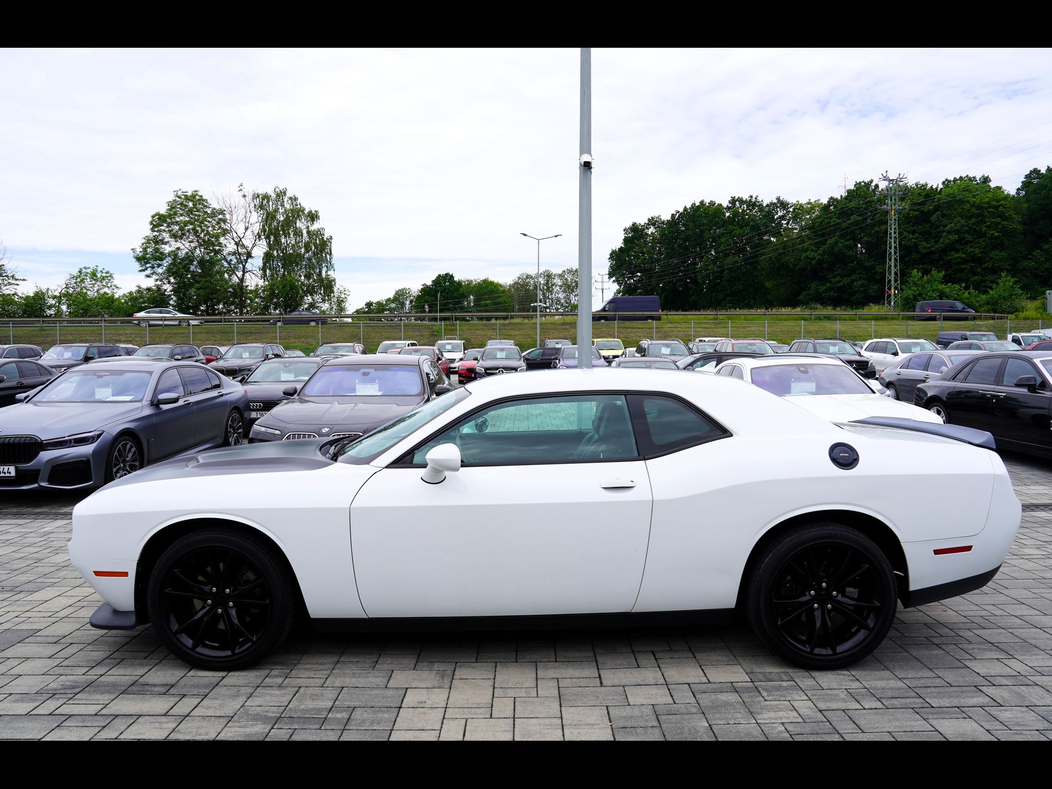 Dodge Challenger, 3.6 V6 SXT Plus/kůže/automat - fotka 3