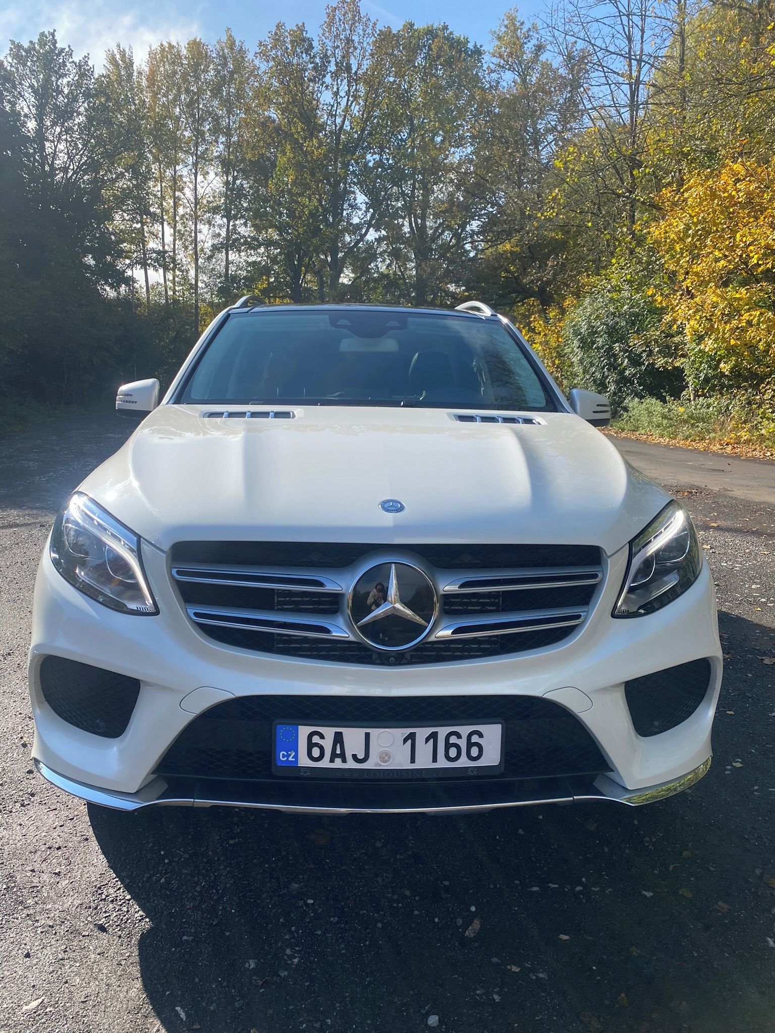 Mercedes-Benz GLE, Designo AMG-Line