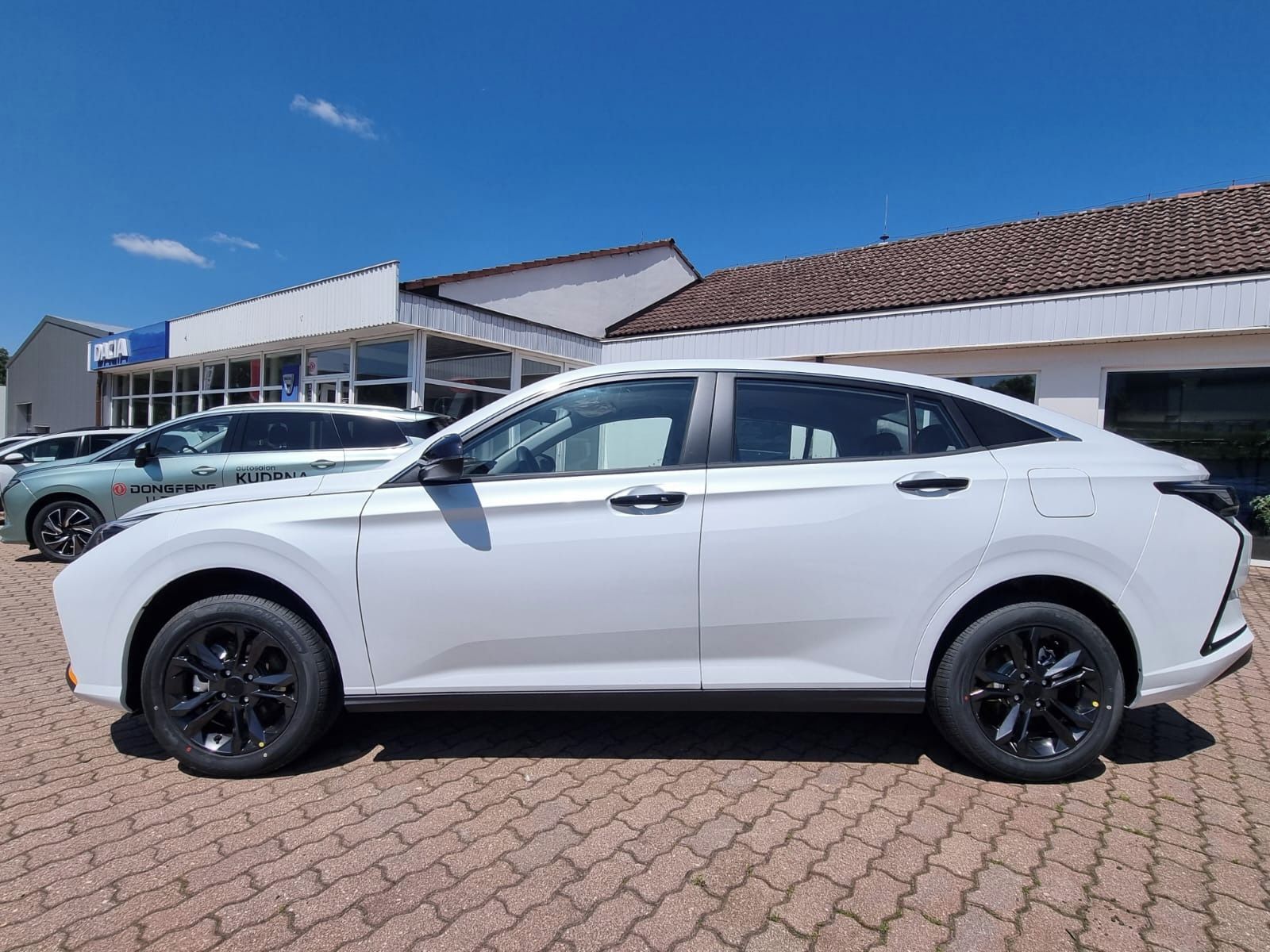Dongfeng Shine, E1 aktuální modelový rok - fotka 4