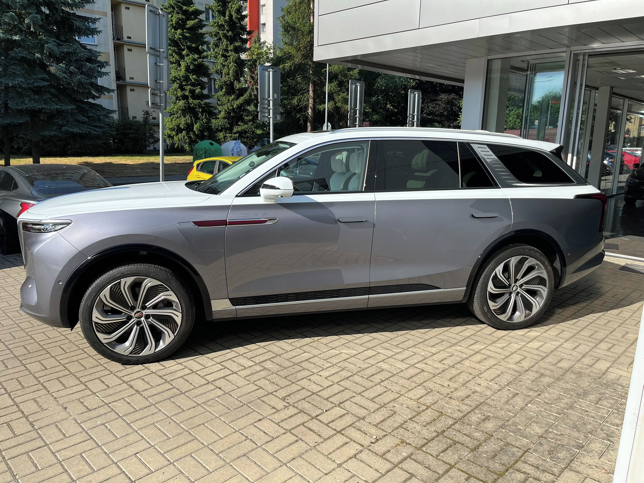 Hongqi E-HS9, Long Range 120 kW - fotka 4