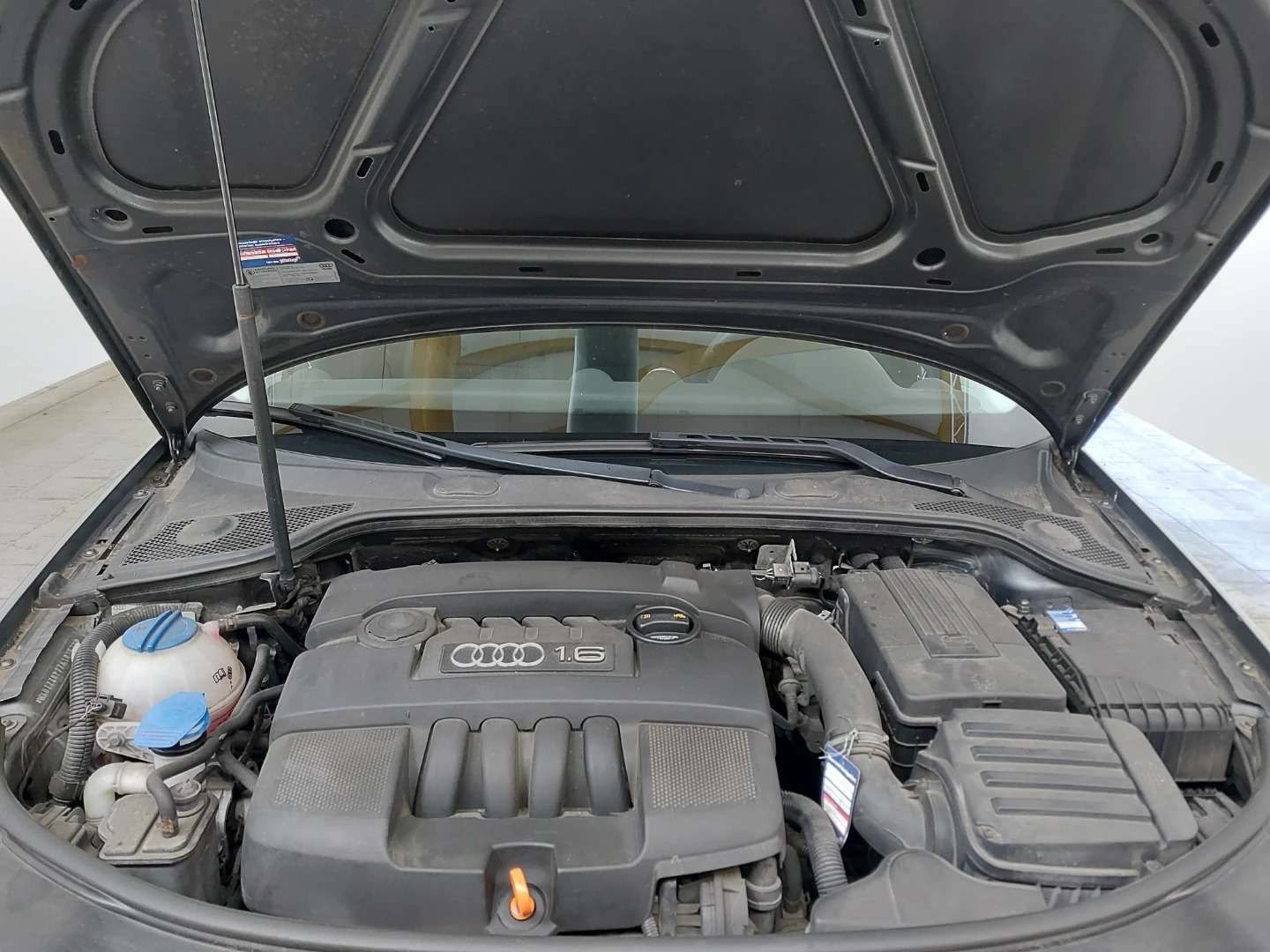 Audi A3, 1.6 Mpi 75KW 145tkm 5.dv  2007 - fotka 6