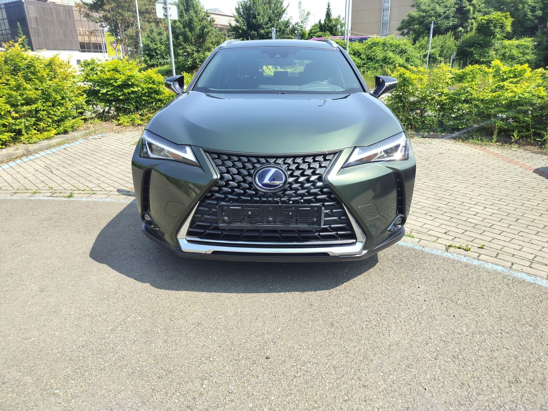 Lexus UX 250h, BUSINESS edition,alcantara - fotka 2
