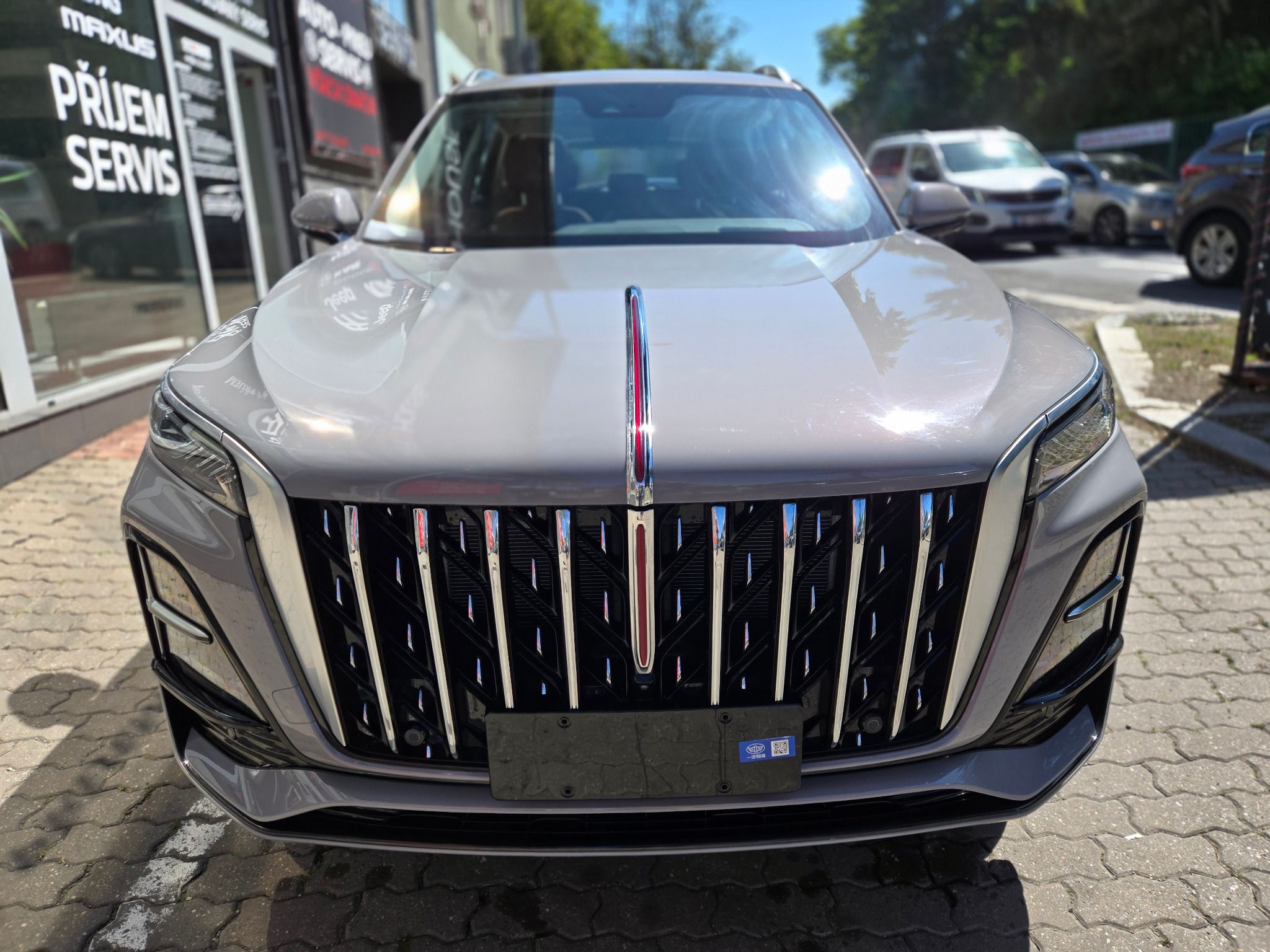 Hongqi HS5, 2.0T Executive 4WD - fotka 4