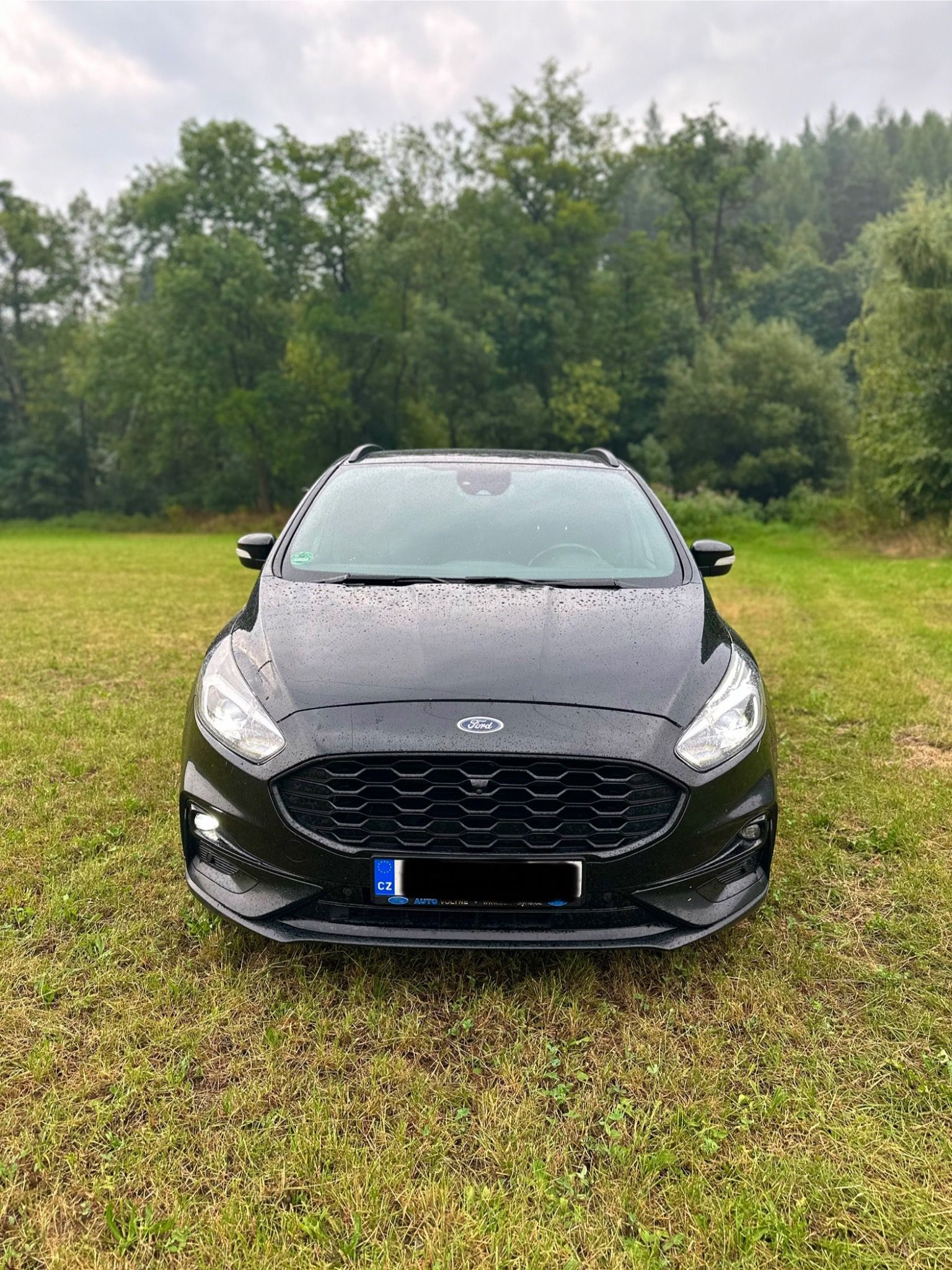 Ford S-MAX, Ford S-Max ST-Line