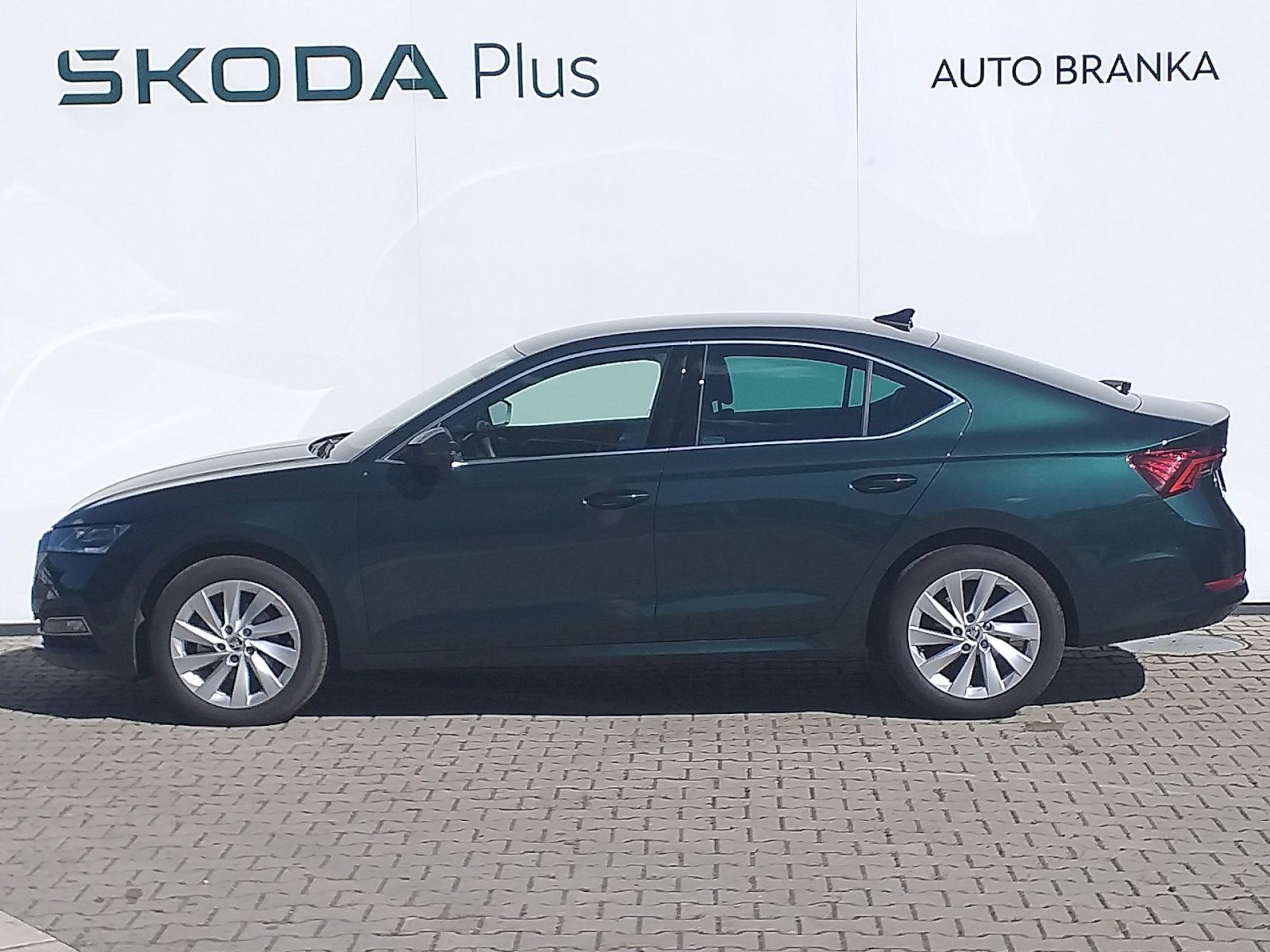 Škoda Octavia, OCTAVIA STY TD 110/2.0 A7F - fotka 3