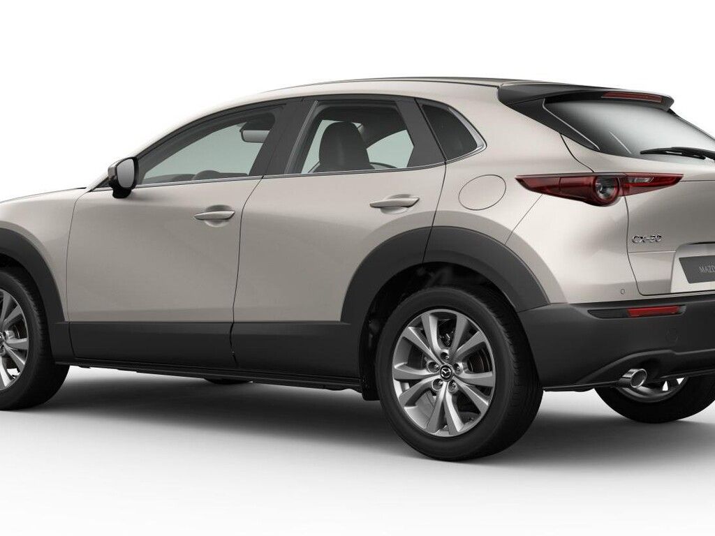 Mazda CX-30, Mazda CX-30 5WGN 2.5L e-SKYACT - fotka 6