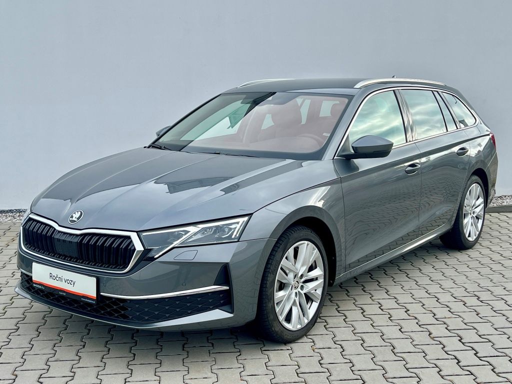 Škoda Octavia, Top Selection 2.0 TDI 110 kW