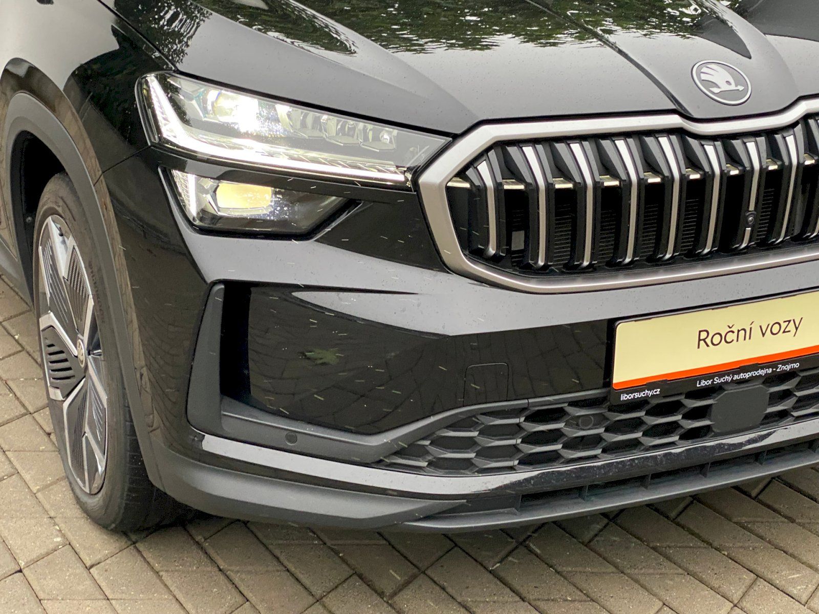 Škoda Kodiaq, Exclusive Selection 2.0 TDI 14 - fotka 6
