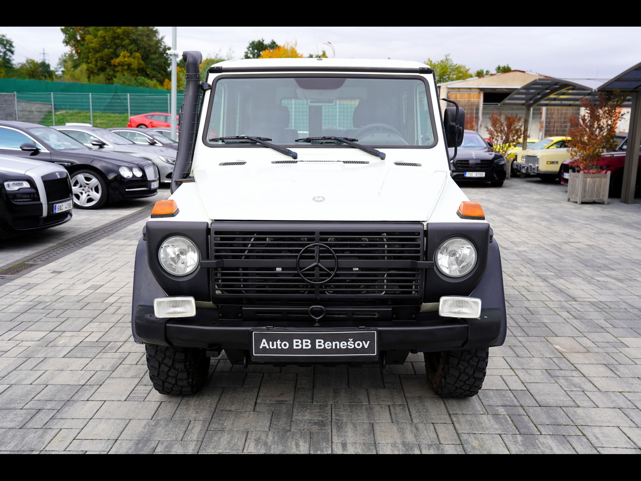 Mercedes-Benz Třídy G, G 300 PUR Professional
