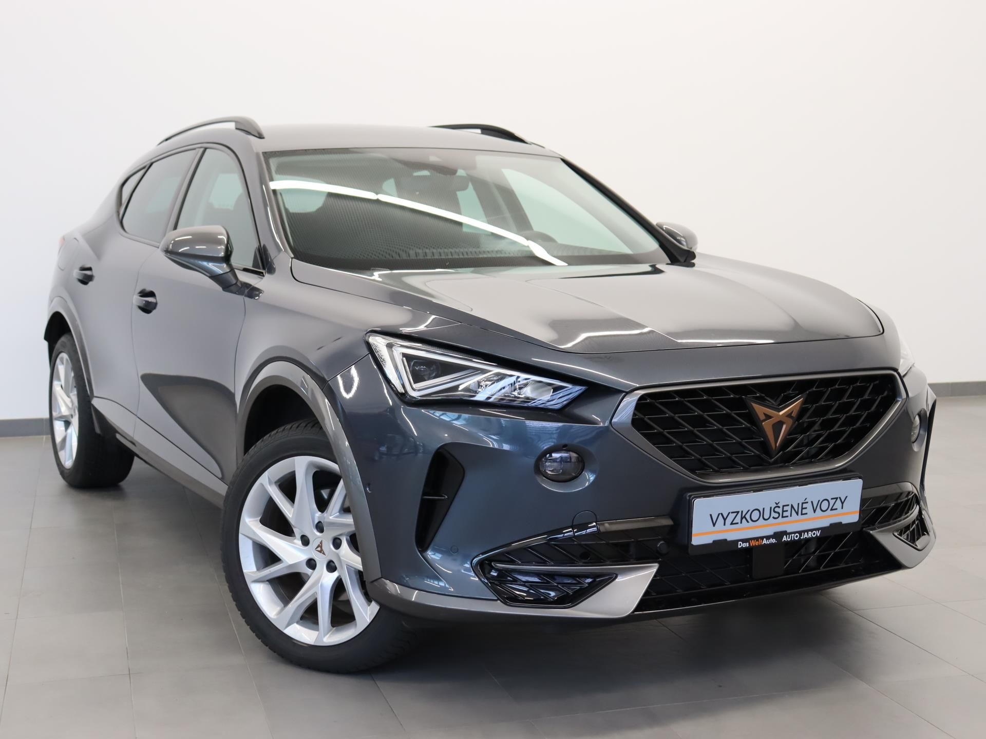 Cupra Formentor, 2.0 TSI 190K DSG 4WD - fotka 6
