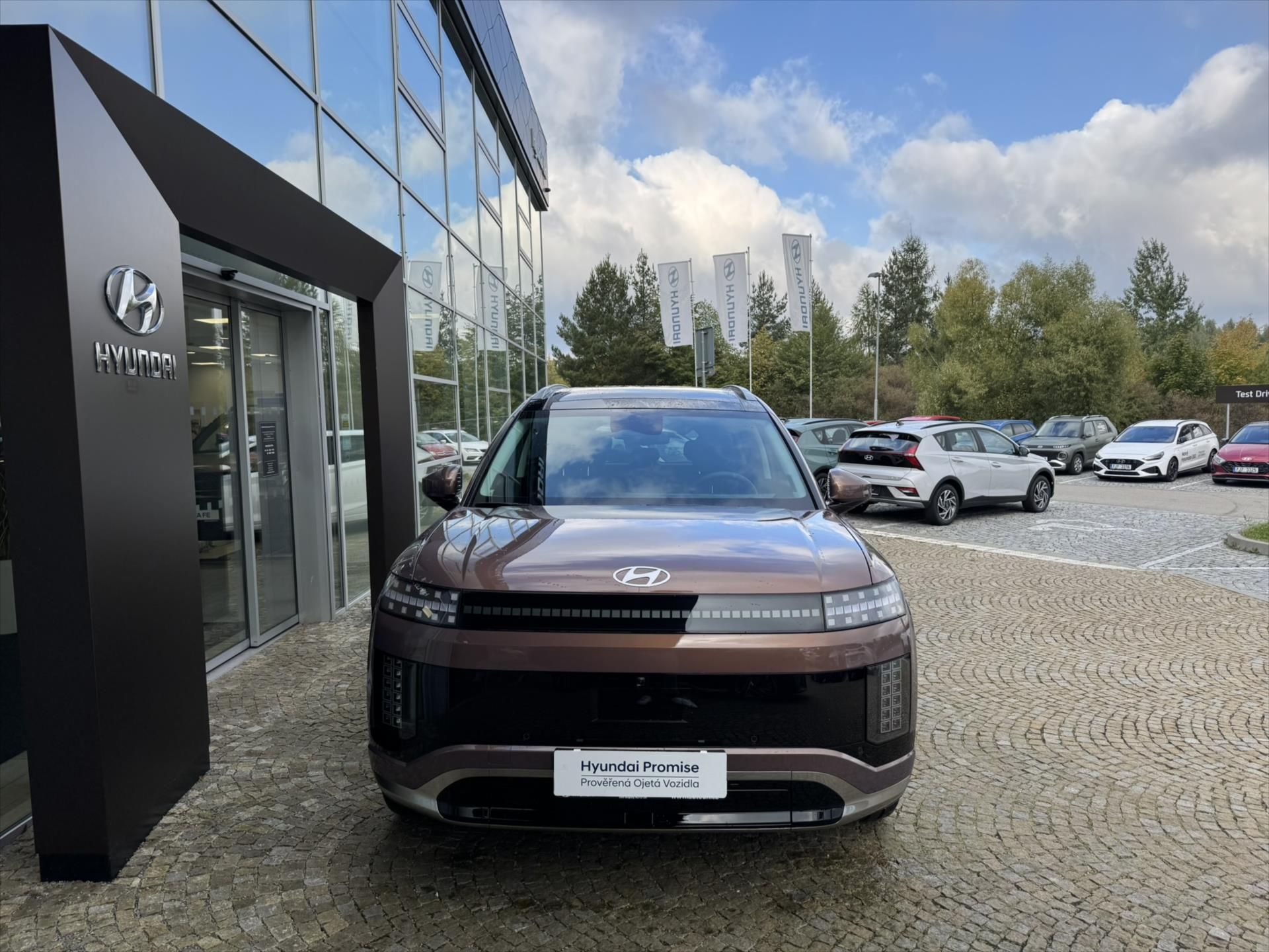 Hyundai Ioniq 9, W7 4WD PERF 110 KW CALLIGR
