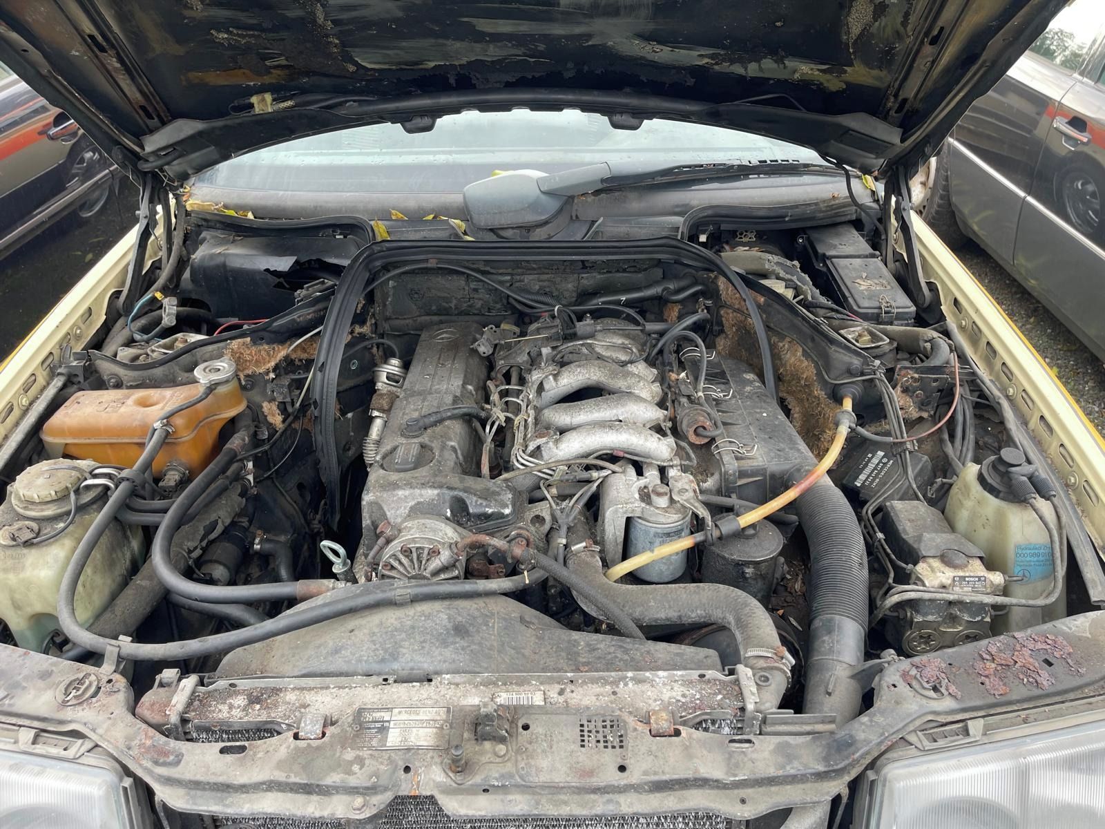 Mercedes-Benz 124, 250D - fotka 5